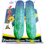 เมล็ดผัก แตงกวา (ชนิดซอง)พร้อมส่ง