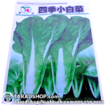 เมล็ดผัก ฟักกาดอ่อน (ชนิดซอง)พร้อมส่ง