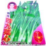 เมล็ดผัก กาดกวางตุ้งดอก (ชนิดซอง)พร้อมส่ง
