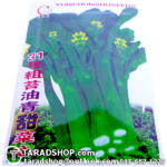เมล็ดผัก ผักกาดกวางตุ้ง (ชนิดซอง)พร้อมส่ง