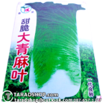 เมล็ดผัก กาดขาว ต้นใหญ่ (ชนิดซอง)พร้อมส่ง