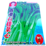 เมล็ดผัก ผักกาดจ้อน (ชนิดซอง)พร้อมส่ง