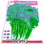 เมล็ดผัก ชี (ชนิดซอง)พร้อมส่ง