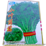 เมล็ดผัก ตั้งโอ๋ (ชนิดซอง)พร้อมส่ง