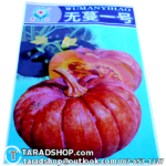 เมล็ดผัก ฟักทอง (ชนิดซอง)พร้อมส่ง