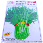 เมล็ดผัก บุ้ง (ชนิดซอง)พร้อมส่ง