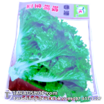 เมล็ดผัก สลัดแก้ว (ชนิดซอง)พร้อมส่ง