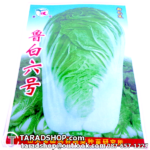 เมล็ดผัก ผักกาดขาว (ชนิดซอง)พร้อมส่ง