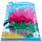 เมล็ดผัก พริกขี้หนู (ชนิดซอง)พร้อมส่ง