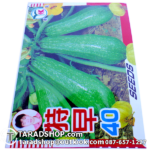 เมล็ดผัก ฟักทองยาวพร้อมส่ง