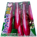 เมล็ดผัก มะเขือยาว (ชนิดซอง)พร้อมส่ง