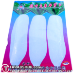 เมล็ดผักกาดหัวไชเท้า (ชนิดซอง)พร้อมส่ง