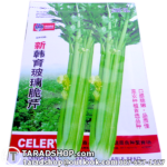 เมล็ดผัก คื่นช่าย (ชนิดซอง)พร้อมส่ง