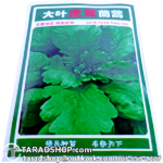 เมล็ดผัก ตั้งโอ (ชนิดซอง)พร้อมส่ง