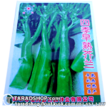 เมล็ดพันธุ์ผัก ผักคะน้ายอดพร้อมส่ง