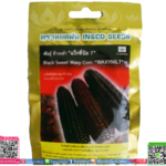 เมล็ด ข้าวโพดเหนียวหวานพร้อมส่ง