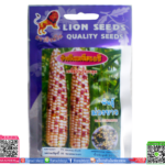 เมล็ด ข้าวโพดเทียน2สีพร้อมส่ง