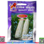 เมล็ด ข้าวโพดพร้อมส่ง