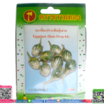 เมล็ด มะเขือเปราะพันธุ์เสวยพร้อมส่ง