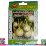 เมล็ด มะเขือเปราะพันธุ์เจ้าพระยาพร้อมส่ง