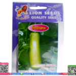 เมล็ด น้ำเต้ายาวพร้อมส่ง