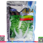 เมล็ด ผักกาดขาวพันธุ์เบาพร้อมส่ง