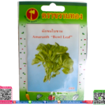 เมล็ด ผักขมใบชามพร้อมส่ง