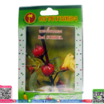 เมล็ด กระเจี๊ยบแดงพร้อมส่ง