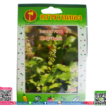 เมล็ด กะเพราขาวพร้อมส่ง