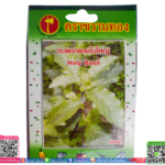 เมล็ด กะเพราแดงใบใหญ่พร้อมส่ง