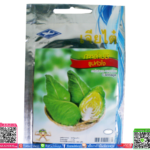 เมล็ด กะหล่ำปลี รูปหัวใจพร้อมส่ง