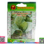 เมล็ด คะน้ายอดปทุม 38พร้อมส่ง