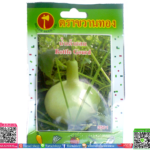 เมล็ด น้ำเต้ากลมพร้อมส่ง