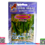 เมล็ด ผักกาดกวางตุ้งดอกพร้อมส่ง