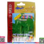 เมล็ด ผักกาดเขียวพร้อมส่ง