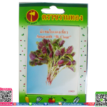 เมล็ด ผักขมใบเเดงเขียวพร้อมส่ง