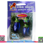 เมล็ด มะเขือยาว สั้นพร้อมส่ง