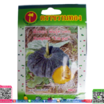 เมล็ดฟักทอง พันธุ์คางคกพร้อมส่ง