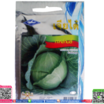 เมล็ด กะหล่ำปลีพร้อมส่ง