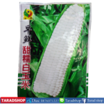 เมล็ดข้าวโพด (ชนิดซอง)พร้อมส่ง