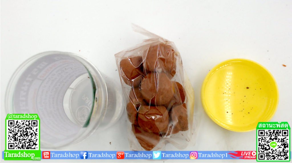 สมุนไพรตรานกขุนทอง