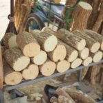 ไม้ทานาคา เกรดB 3ปี[1ท้อน]พร้อมส่ง