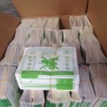 กาวดักแมลงวันพร้อมส่ง