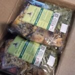 สมุนไพรคลายร้อนสูตรล้างลำไส้