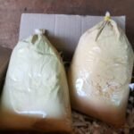 ผงทานาคาพม่า(ของแท้100%)