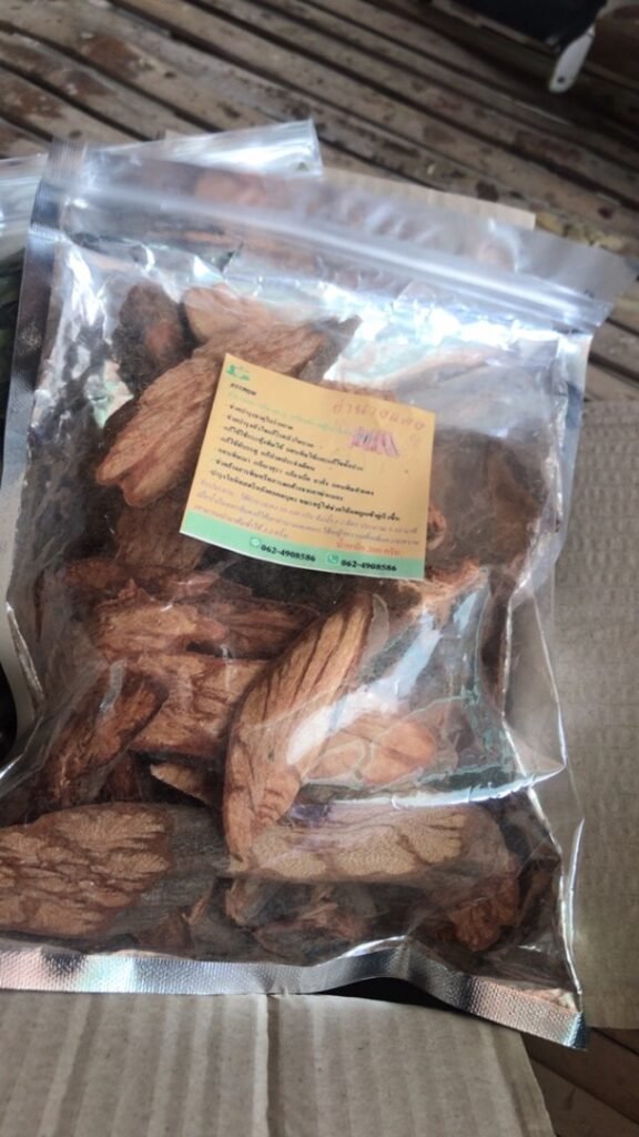 สมุนไพรย่านางแดง สยาน หญ้านางแดง