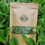 หญ้าหวาน