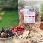 สมุนไพรรักษาเส้นเลือดในสมองตีบพร้อมส่ง